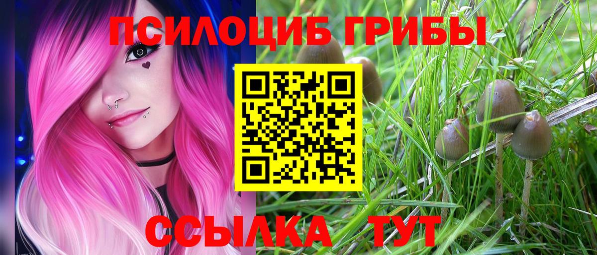 Галлюциногенные грибы MAGIC MUSHROOMS Норильск