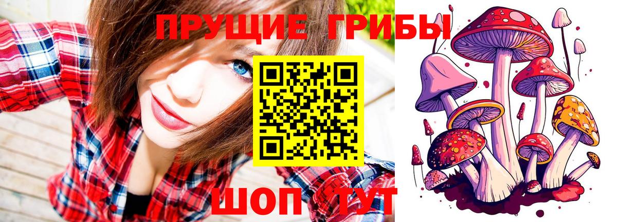 Норильск  Галлюциногенные грибы Psilocybine cubensis  Вход с VPN 